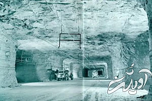 ۲۰ واقعیت جالب، بامزه و باورنکردنی برای ذهن های کنجکاو که آموزنده نیز هستند